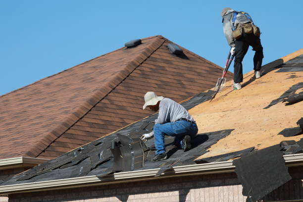 Steel Roofing